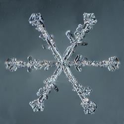 Stellar Dendrite Snowflake 004.2.14.2014 | Obraz na stenu