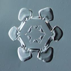 Stellar Plate Snowflake 001.2.14.2014 | Obraz na stenu