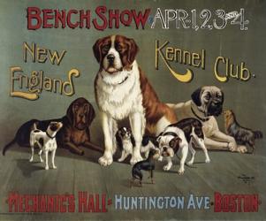 Bench Show. New England Kennel Club | Obraz na stenu