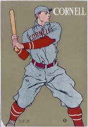 Cornell Baseball | Obraz na stenu