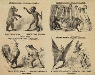 Older's Museum, Circus & Menagerie | Obraz na stenu