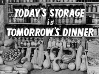 Today's Storage, Tomorrow's Dinner | Obraz na stenu