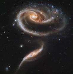 A ""Rose"" Made of Galaxies Highlights Hubble's 21st Anniversary | Obraz na stenu