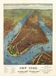 Aerial Map for Root & Tinker of New York | Obraz na stenu