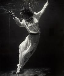 Fashion Model Underwater in Dolphin Tank | Obraz na stenu