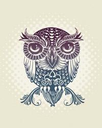 Baby Egypt Owl | Obraz na stenu