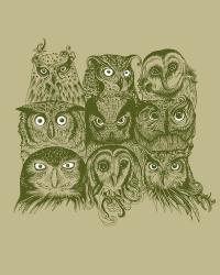 Nine Owls | Obraz na stenu