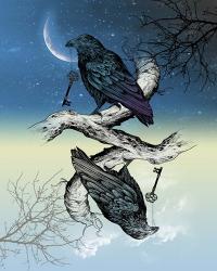 Raven Night and Day | Obraz na stenu