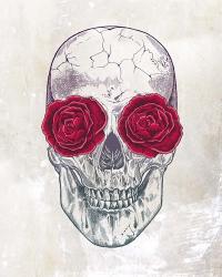 Skull Roses | Obraz na stenu