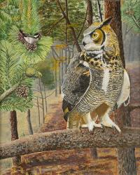 Chicadee and Owl | Obraz na stenu