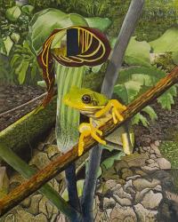 Frog and Jack-in-the Pulpit | Obraz na stenu