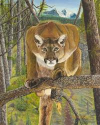 Mountain Lion | Obraz na stenu