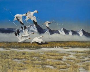 Sow Geese Spring Flight | Obraz na stenu