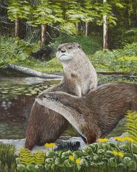 Two Otters | Obraz na stenu