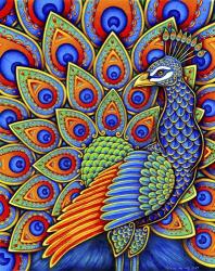 Colorful Paisley Peacock | Obraz na stenu