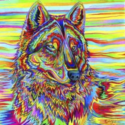 Psychedelic Wolf | Obraz na stenu
