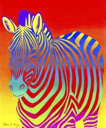 Psychedelic Zebra | Obraz na stenu