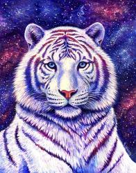 Among the Stars - Cosmic White Tiger | Obraz na stenu