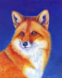 Colorful Red Fox | Obraz na stenu