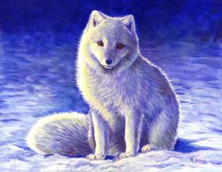 Peaceful Winter Arctic Fox | Obraz na stenu