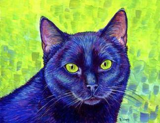 Black Cat With Chartreuse Eyes | Obraz na stenu