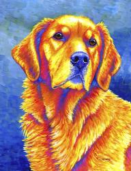 Golden Retriever | Obraz na stenu