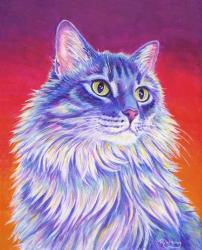 Longhaired Purple Tabby Cat | Obraz na stenu