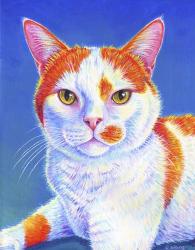 Orange and White Cat on Blue | Obraz na stenu