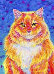 Orange Buff Tabby Cat | Obraz na stenu