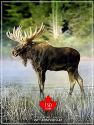 Moose Canada 150th Anniversary | Obraz na stenu
