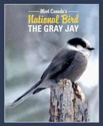 Gray Jay Canada's National Bird | Obraz na stenu