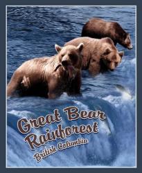Great Bear Rainforest | Obraz na stenu