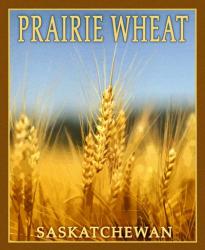 Praire Wheat, | Obraz na stenu
