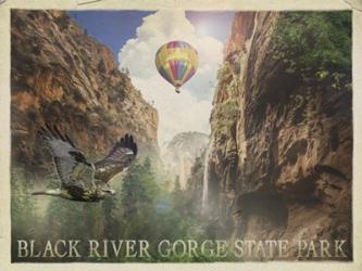 Black River Gorge | Obraz na stenu
