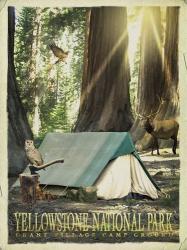 Redwood Camping | Obraz na stenu