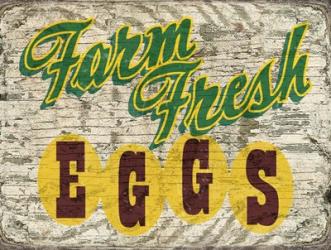 Farm Fres Eggs | Obraz na stenu