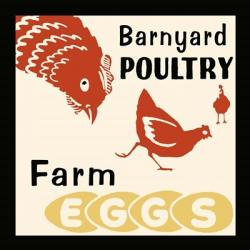 Barnyard Poultry-Farm Eggs | Obraz na stenu