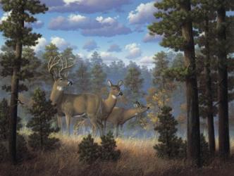 White Tail Family | Obraz na stenu