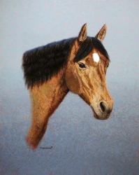 Horse | Obraz na stenu