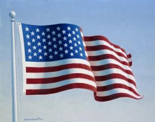 American Flag 3 | Obraz na stenu