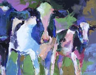 3 Cows | Obraz na stenu