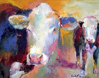Cows | Obraz na stenu