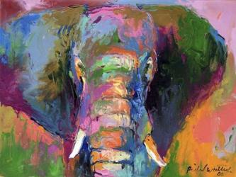 Elephant 2 | Obraz na stenu