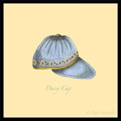 Daisy Cap | Obraz na stenu