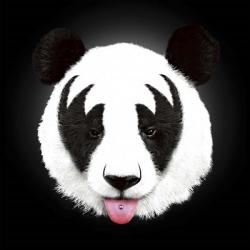 Kiss Of A Panda | Obraz na stenu