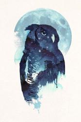 Midnight Owl | Obraz na stenu