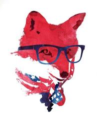 American Fox | Obraz na stenu