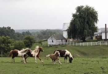 Winesberg Ohio | Obraz na stenu