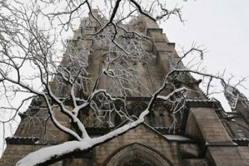 Branch Snow Cathedral 9688 | Obraz na stenu