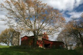 Early Spring Tree Barn | Obraz na stenu